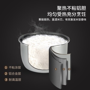 Autocuiseur électrique multifonction 5 litres grande capacité cuiseur à riz