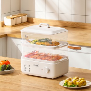 Cuiseur à vapeur électrique domestique double couche multifonction