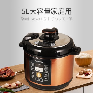 Home Autocuiseur électrique 4-5 personnes 5L grande capacité  cuiseur à riz