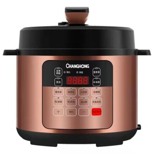 Home Autocuiseur électrique 4-5 personnes 5L grande capacité  cuiseur à riz