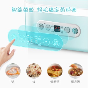 LIFE ELEMENT H16 mijoteuse électrique pour la soupe casserole électrique