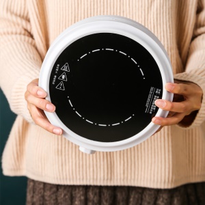 Petite cuisinière à induction 110V220