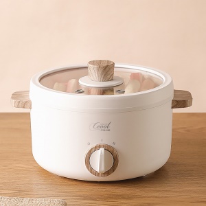 Cuisinière électrique multifonctionnelle