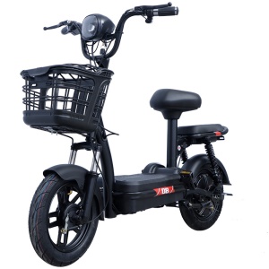 Scooter électrique rechargeable à  double siège 48V  moto électrique
