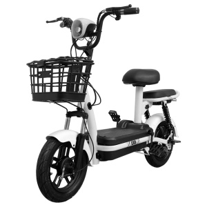 Scooter électrique rechargeable à  double siège 48V  moto électrique