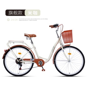 Vélo ordinaire pour adultes