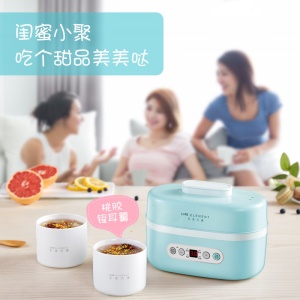 LIFE ELEMENT H16 mijoteuse électrique pour la soupe casserole électrique