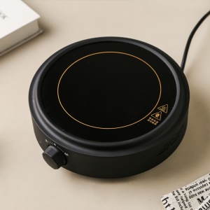 Petite cuisinière à induction 110V220