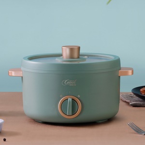 Cuisinière électrique multifonctionnelle
