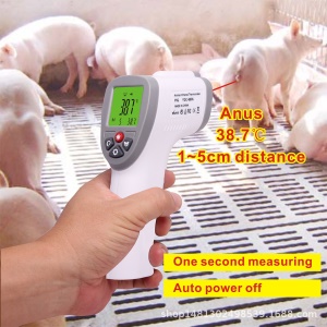 Thermomètre vétérinaire