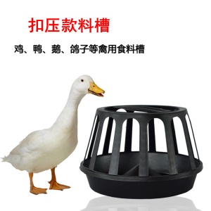 Mangeoires  pour l'élevage de poulets