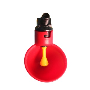Abreuvoirs automatiques pour poussins