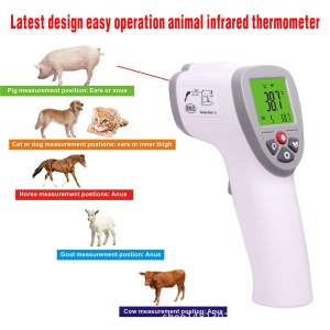 Thermomètre vétérinaire