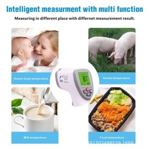 Thermomètre vétérinaire
