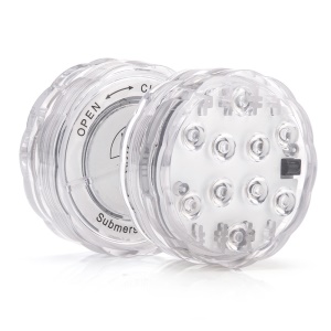 Lampe à LED submersible de haute intensité avec télécommande