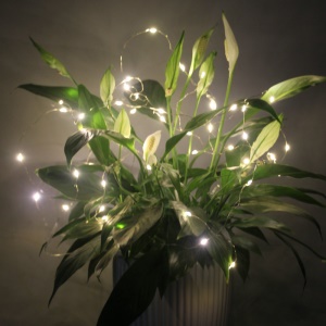Guirlandes lumineuses LED en fil de cuivre pour Noël