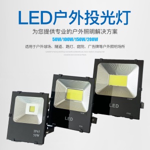 Projecteur d'extérieur à LED