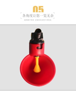 Abreuvoirs automatiques pour poussins