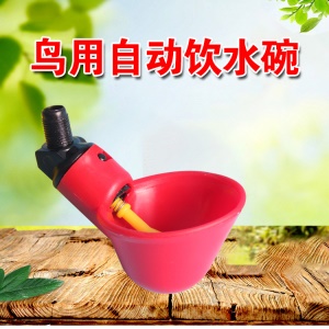 Abreuvoirs automatiques pour poussins