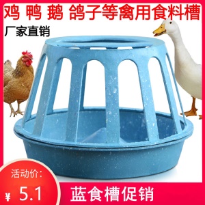 Mangeoires  pour l'élevage de poulets