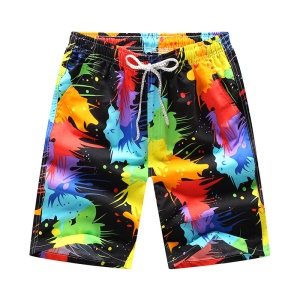 Shorts de plage décontractés pour hommes Loose Culotte maillot de bain