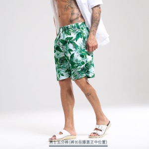 Shorts de plage décontractés pour hommes Loose Culotte maillot de bain