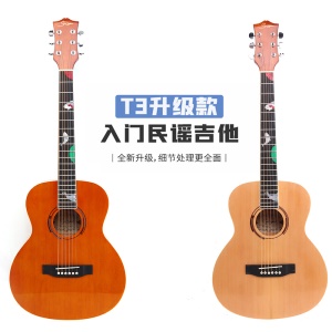 GA-T5 Guitare acoustique folklorique