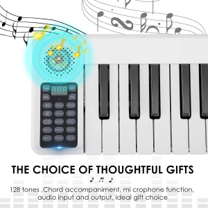 Wersi BR-01 piano électronique pliable 88 touches portable