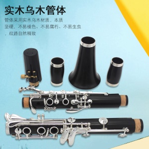 JINXIN CL-B800 Clarinette en si