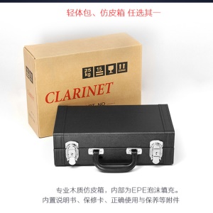 CL-17N Clarinette en si bémol aigu