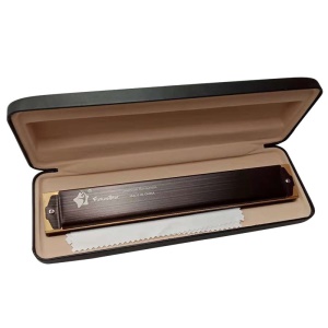 Harmonica professionnel pour adultes en do polyphonique 28 trous