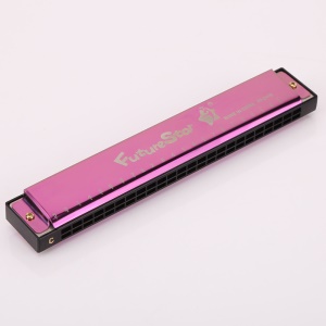 Harmonica 24 trous en Do