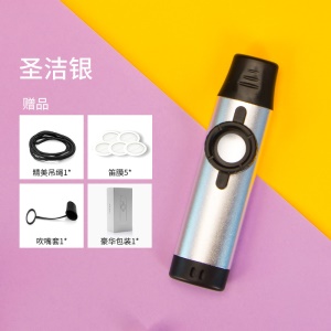 Kazoo Flûte Portable Facile à apprendre