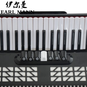 Earl Mann  Accordéon 120 basse 41 touches