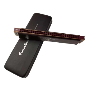 Harmonica professionnel pour adultes en do polyphonique 28 trous