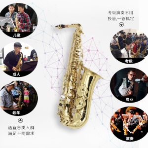 Saxophone en mi bémol alto  instrument de musique