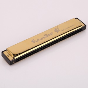 Harmonica 24 trous en Do