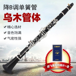 JINXIN CL-B800 Clarinette en si