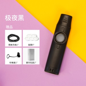 Kazoo Flûte Portable Facile à apprendre