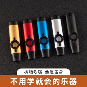 Kazoo Flûte Portable Facile à apprendre