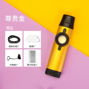 Kazoo Flûte Portable Facile à apprendre