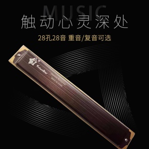 Harmonica professionnel pour adultes en do polyphonique 28 trous