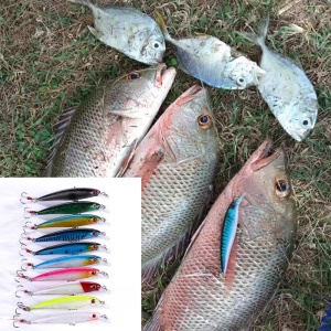 Leurre de pêche 8g