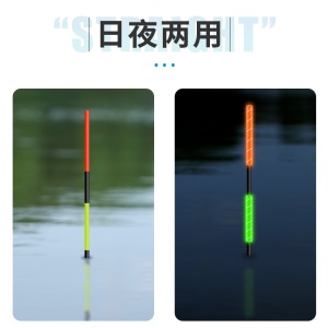 Flotteur de pêche électronique