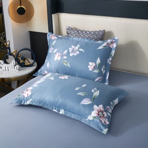 XIWEIAN Ensemble de draps en coton de soie