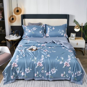 XIWEIAN Ensemble de draps en coton de soie