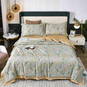 XIWEIAN Ensemble de draps en coton de soie