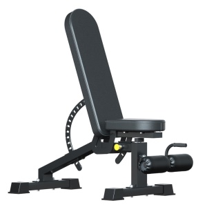 Banc d'haltère  de musculation pliable et multiposition pour salle de sport