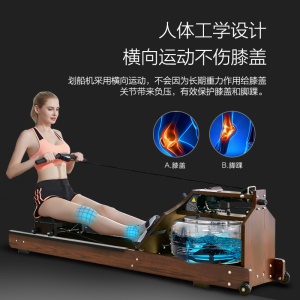Rameur commercial résistant à l'eau pliable en bois massif silencieux