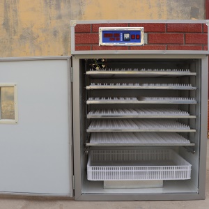 U-452 Incubateur d'oeufs de poule, canard ,oie ,pigeon